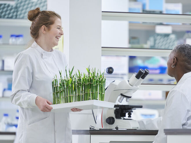 Modern Plant Cultivation