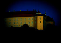 professional accompaniment