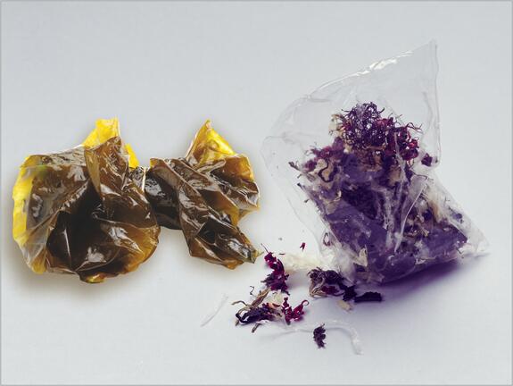 Algae – the raw material (left), transparent packaging film from Mujo (right).