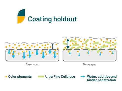 Improved coating holdout through fine cellulose particles