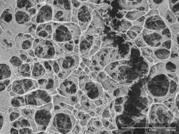 MCG activated and sputtered