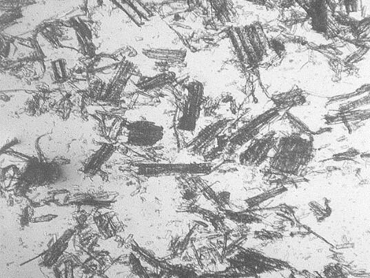 Wood particles for paperboard bulk