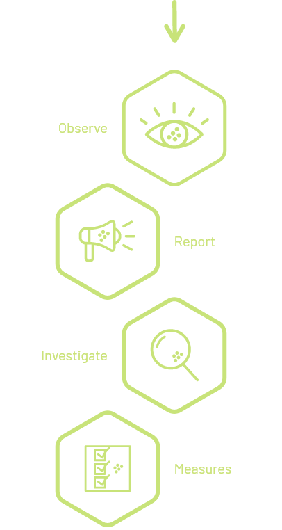 Whistleblower System - Process
