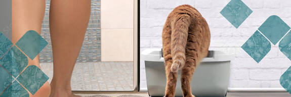 Natural Cat Hygiene with Every Fiber.