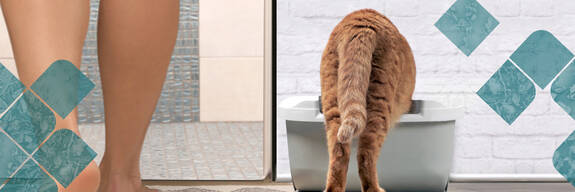 Natural Cat Hygiene with Every Fiber.