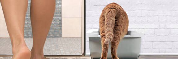Natural Cat Hygiene with Every Fiber.