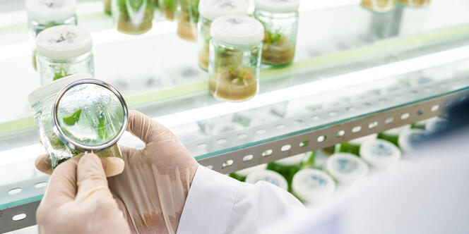 JRS  develops customised solutions which make your product sustainably better