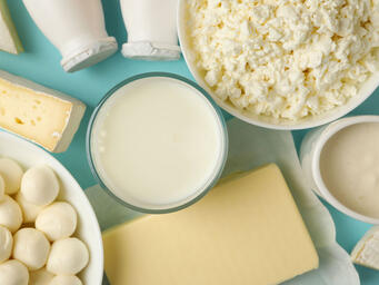 Dairy & Dairy Alternatives