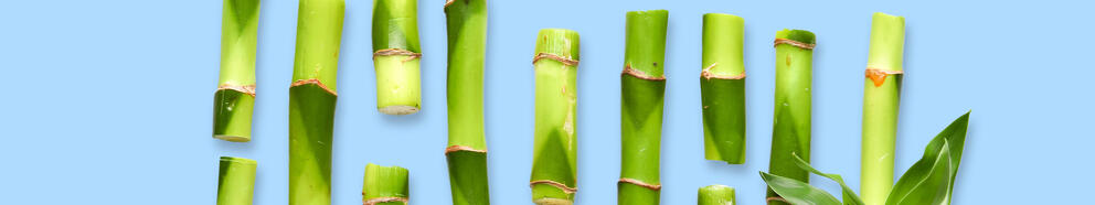 VITACEL BAF Bamboo Fiber