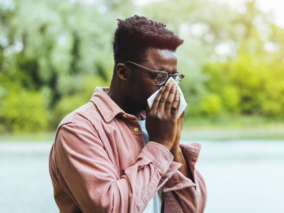 A Balanced Intestinal Microbiota is Key in the Immune System