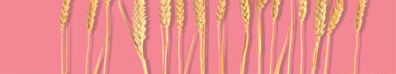 VITACEL® WF Wheat Fiber