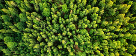 MCG –Microcrystalline Cellulose Gel