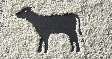 VITACEL application and dosage recommendation