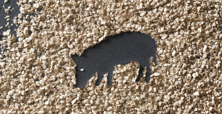 VITACEL® Application and Dosage Recommendation