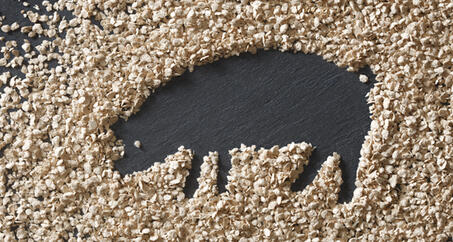 VITACEL® Application and Dosage Recommendation