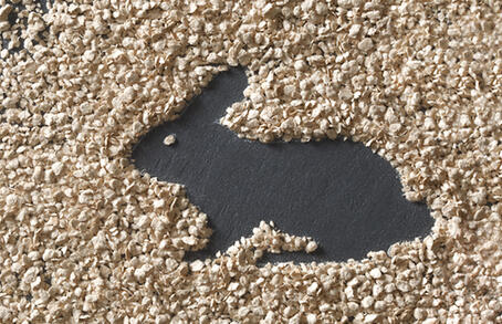 VITACEL® Application and Dosage Recommendation