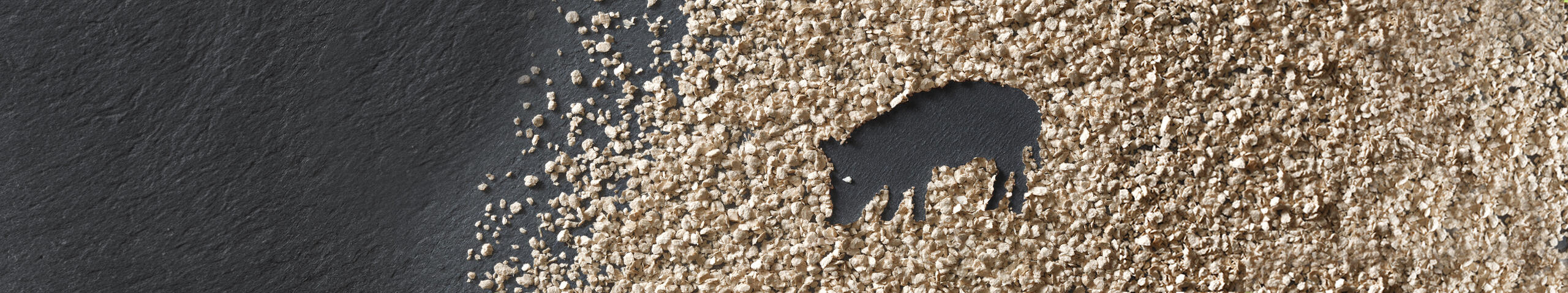 ARBOCEL®
The Natural Crude Fiber Concentrate for Piglets