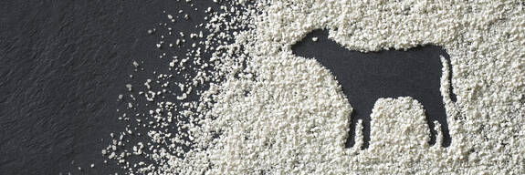 VITACEL® for Calves