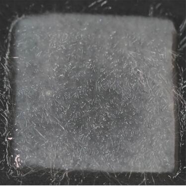 Calcium Alginat Dressing