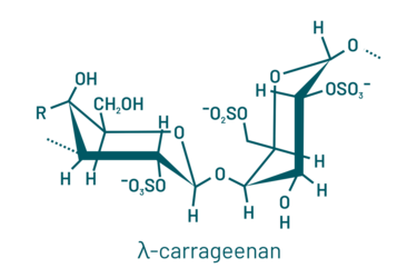 lambda-carrageenan