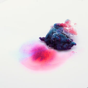 Cellulose Absorption