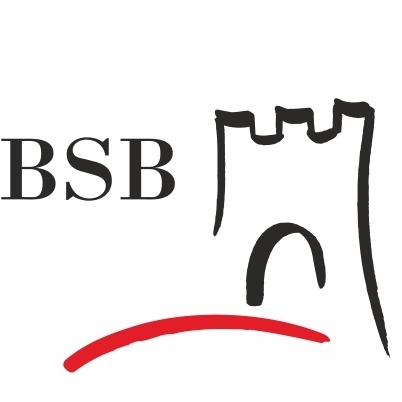 19th European BSB Innovation Award