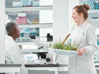 Improving sprayability with JRS VIVAPUR®