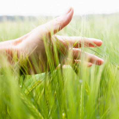 Renewable Resources