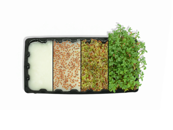 Production benefits with ARBOCEL® FT 400