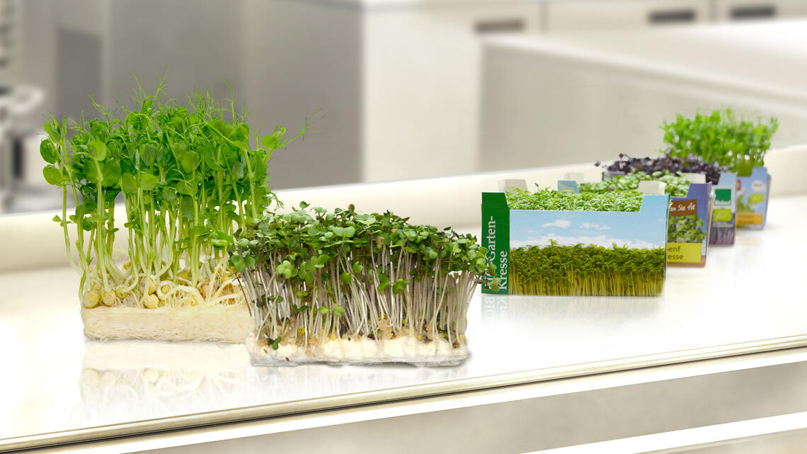 The ready-to-use system for all types of microgreens