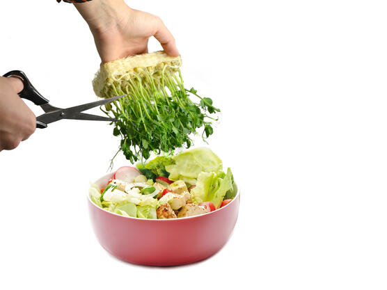 Crisp, fresh and hygienic