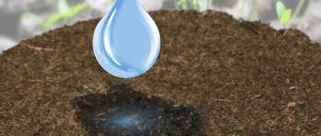 The ready-to-use system for all types of microgreens