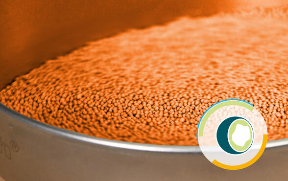 Processing Aids for Pelleting and Granulation