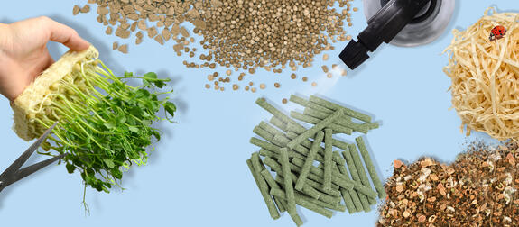 Plant Fibers for Modern, Successful Plant Cultivation