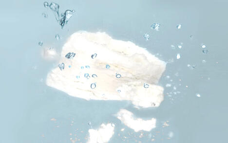 Ideal Disintegration Properties with JRS ARBOCEL