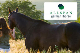 Allspan-German Horse