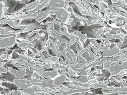 REM with ARBOCEL® - the additional canals are clearly visible