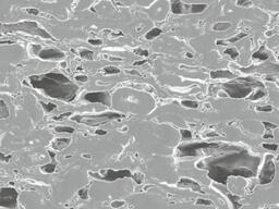 REM without ARBOCEL®