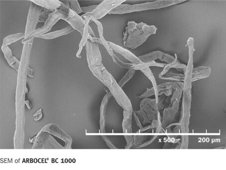 Cellulose fiber with fibrillated surface