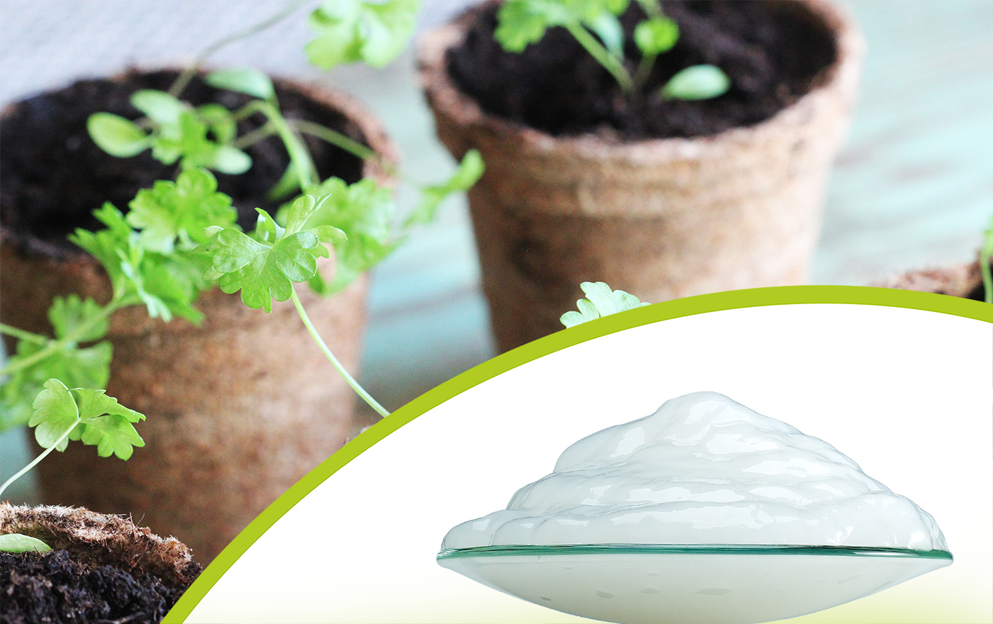 JRS Water reservoir for Pot plants