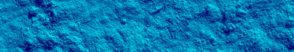 Sustainable Cellulose Fibers For Wrinkle Filling, Soft Focus and Blurring